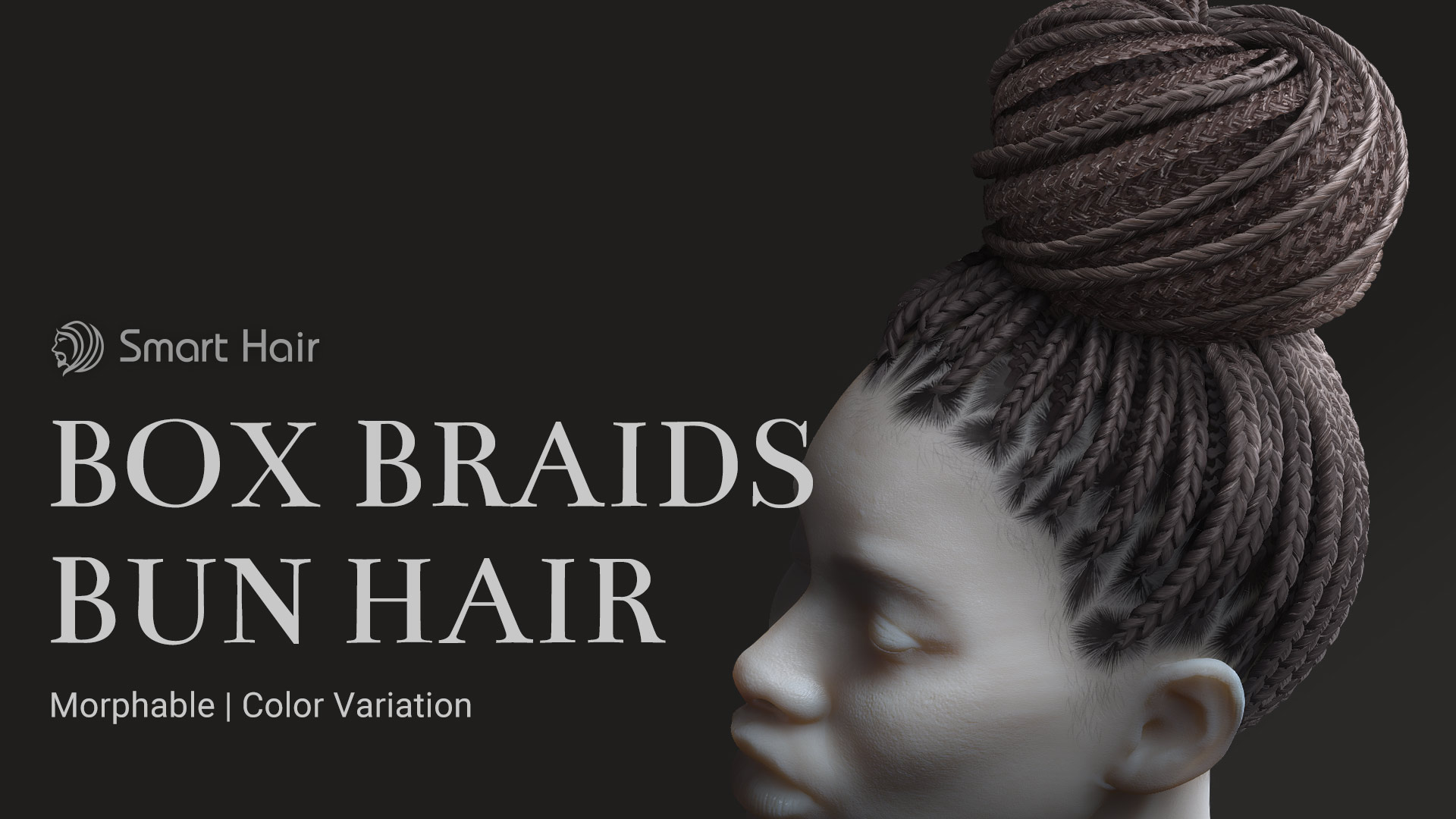 Box Braids Bun Hair - Character Creator/Hair - Reallusion Content