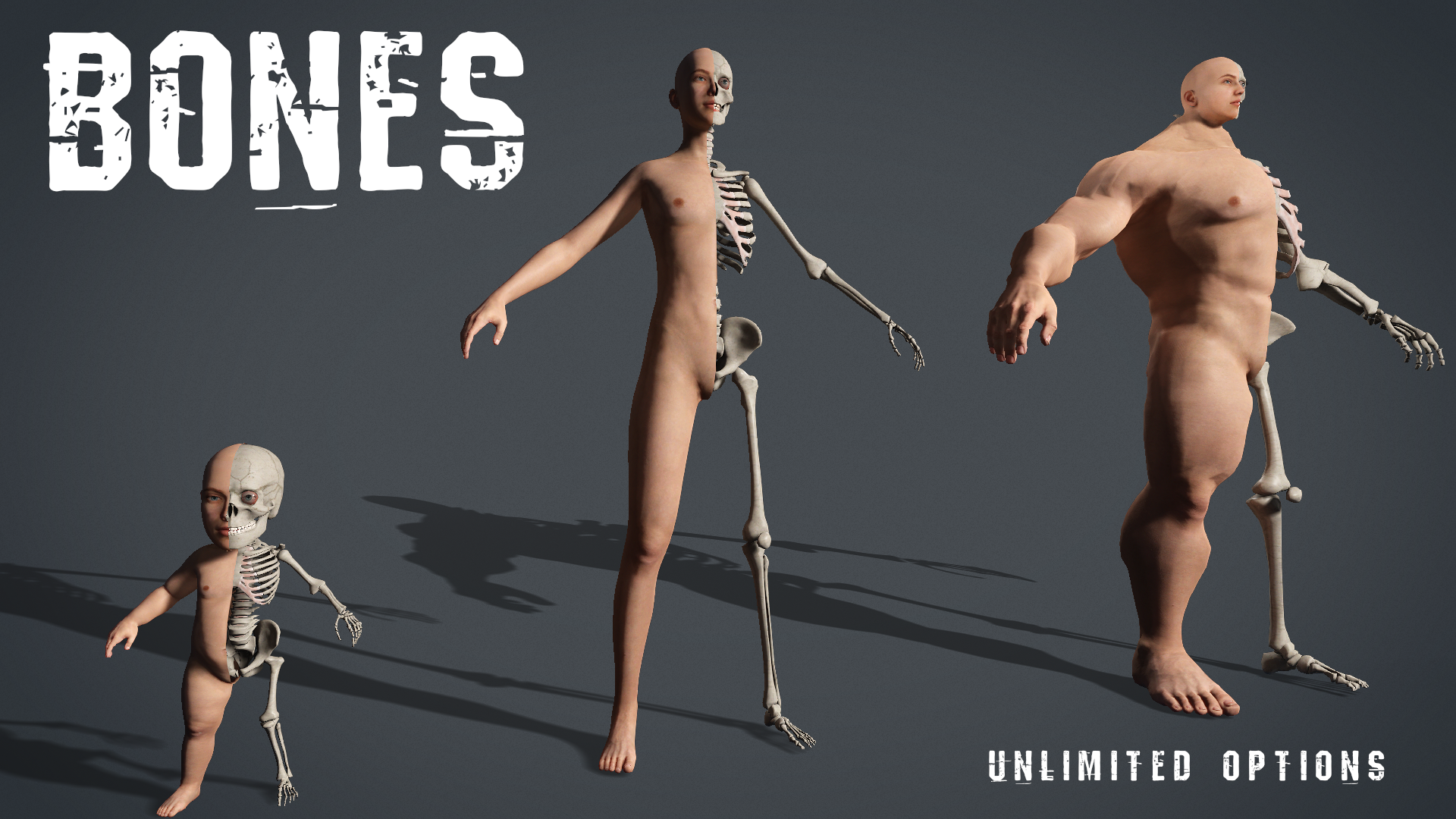 Bones