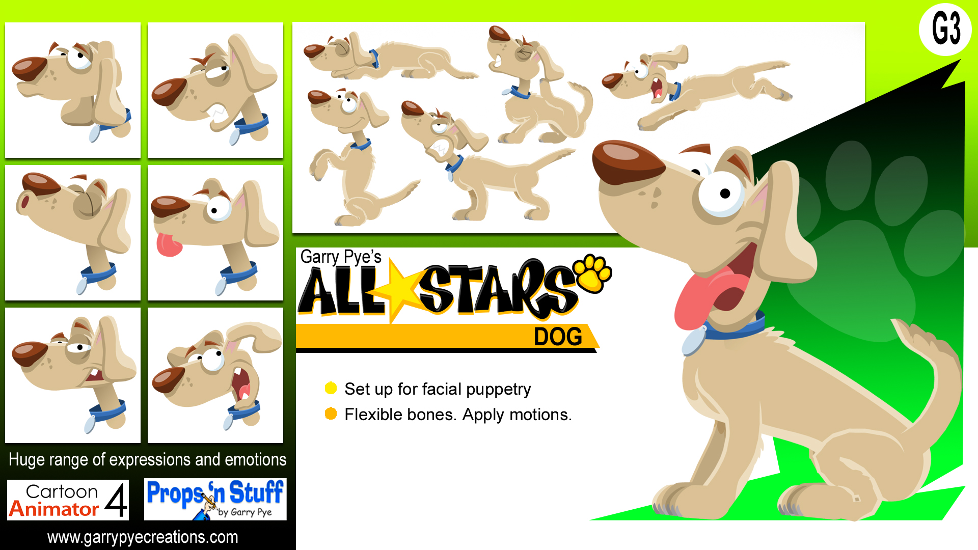 All Stars Dog