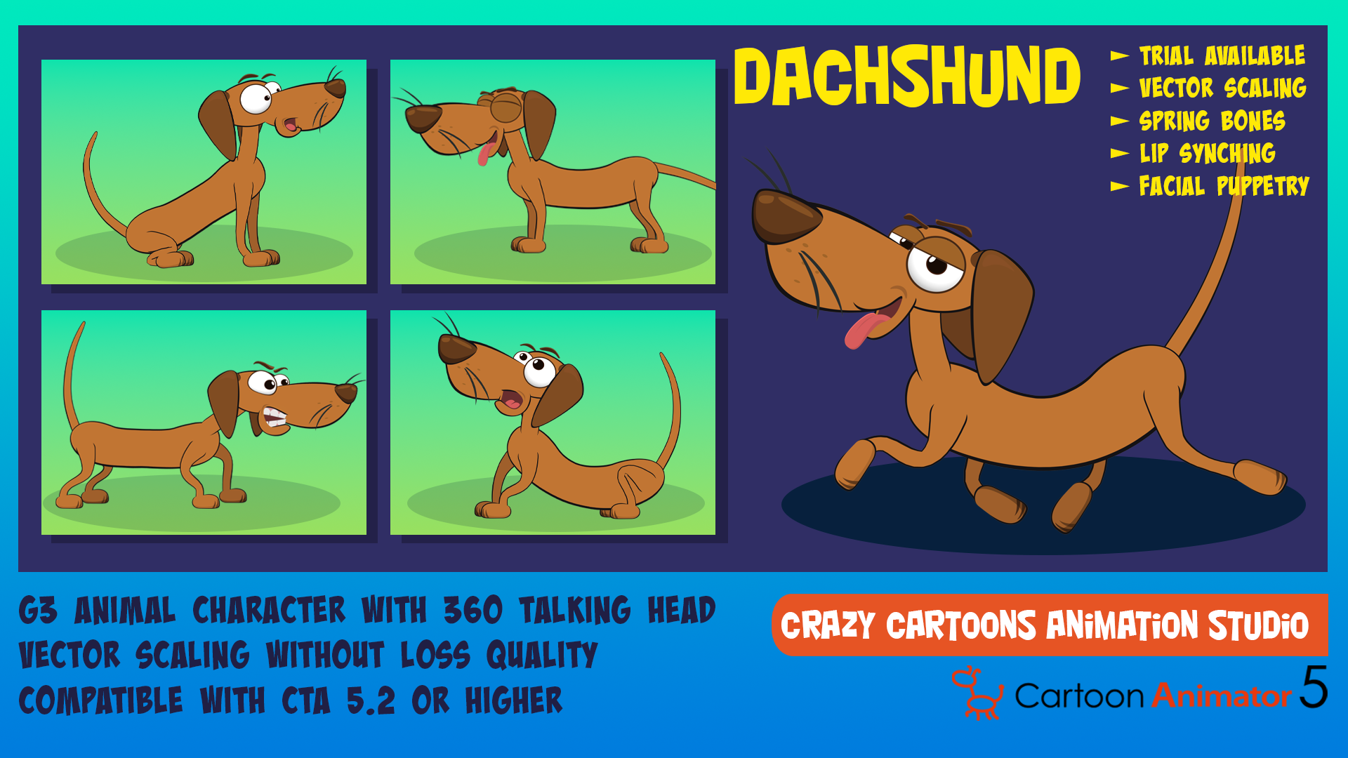 Dachshund