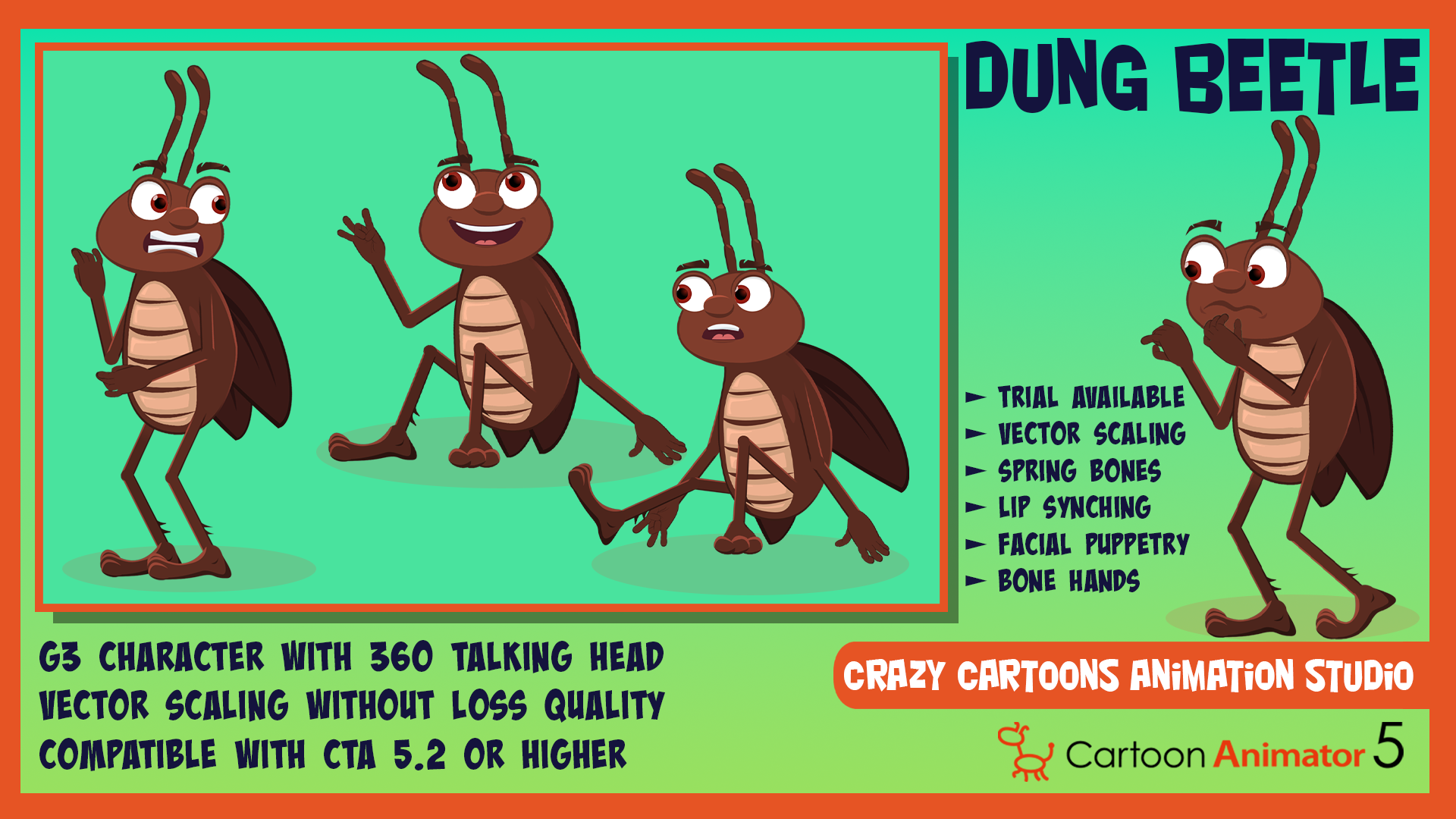 Dung Beetle