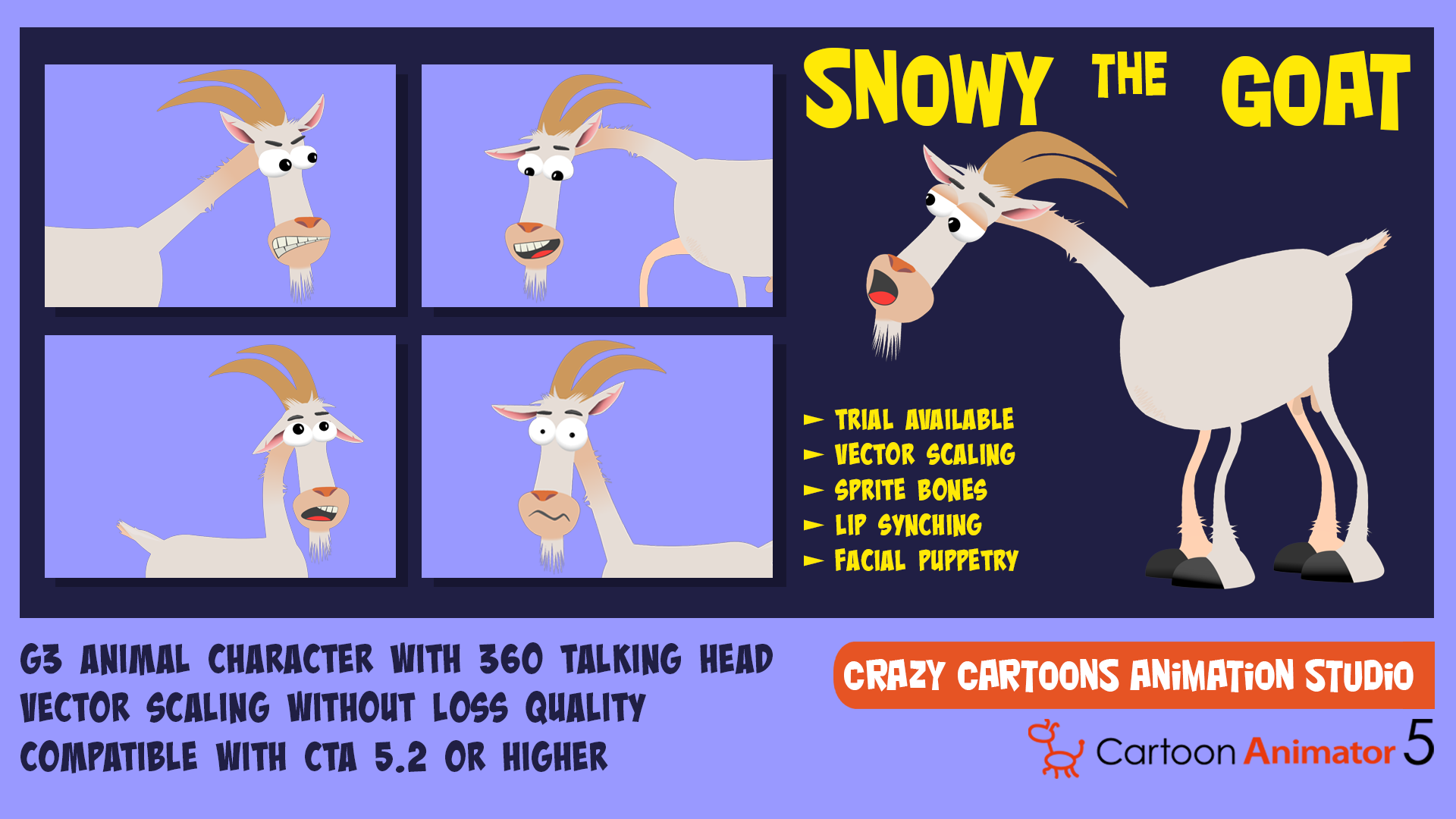 Snowy Goat