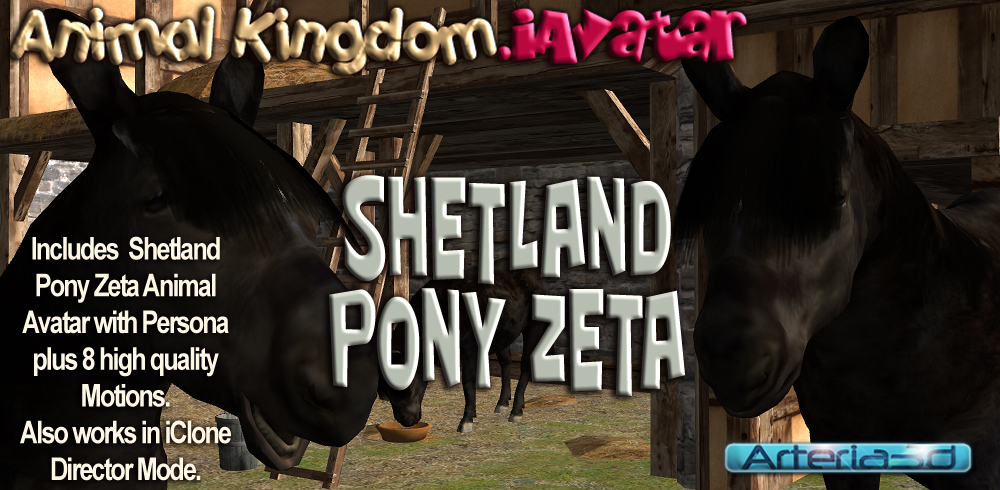 ANIMAL KINGDOM Shetland Pony Zeta