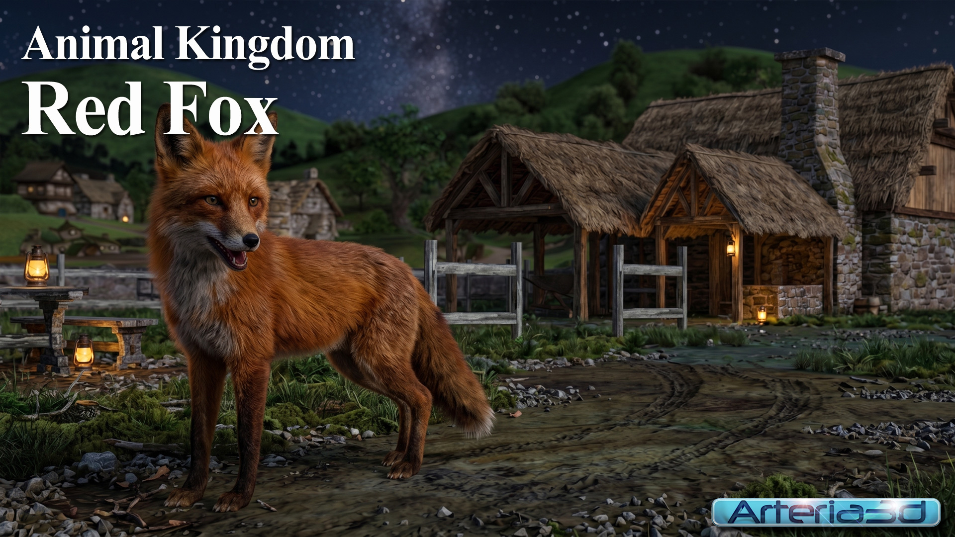 ANIMAL KINGDOM Red Fox