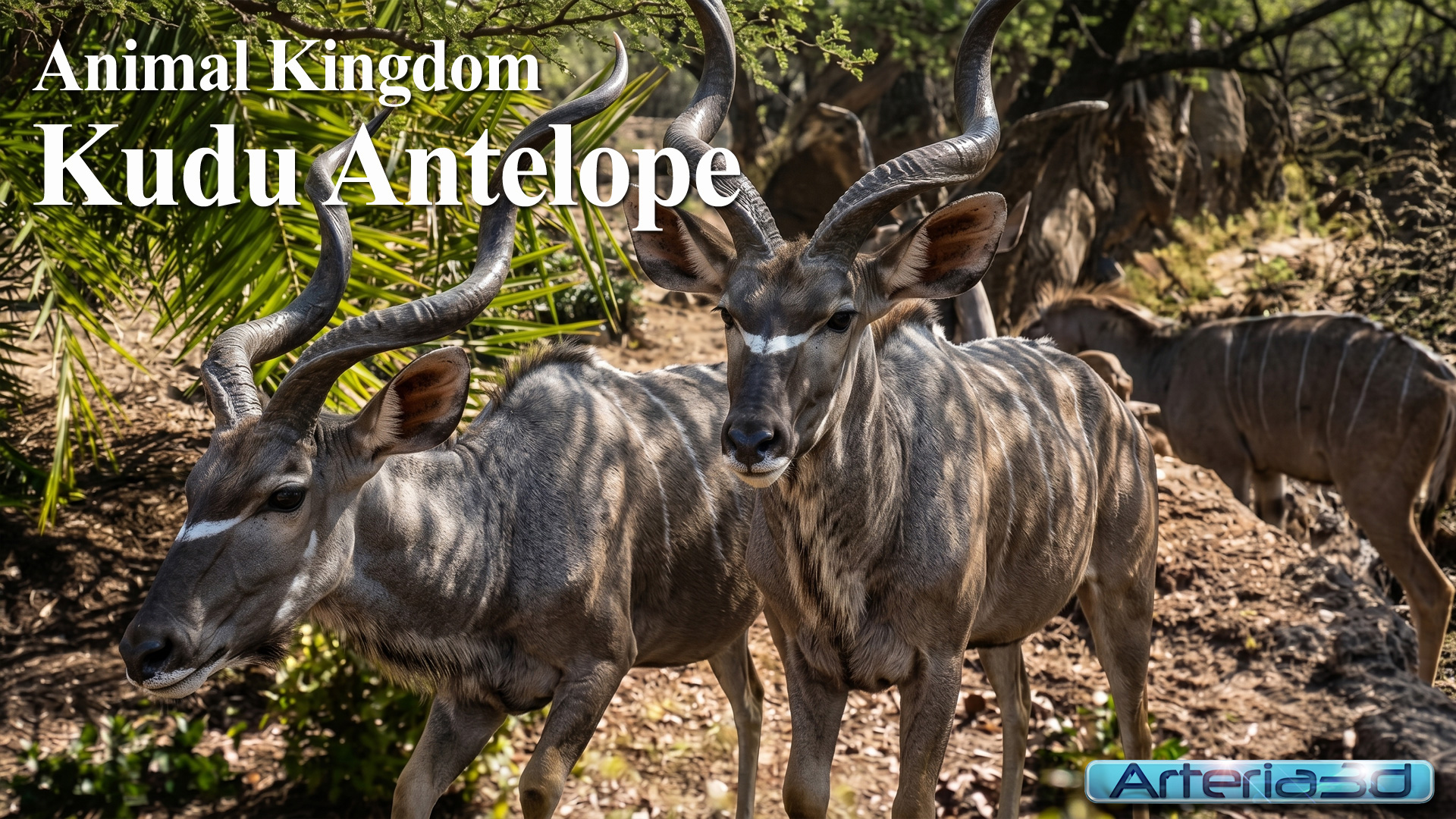 ANIMAL KINGDOM Kudu Antelope