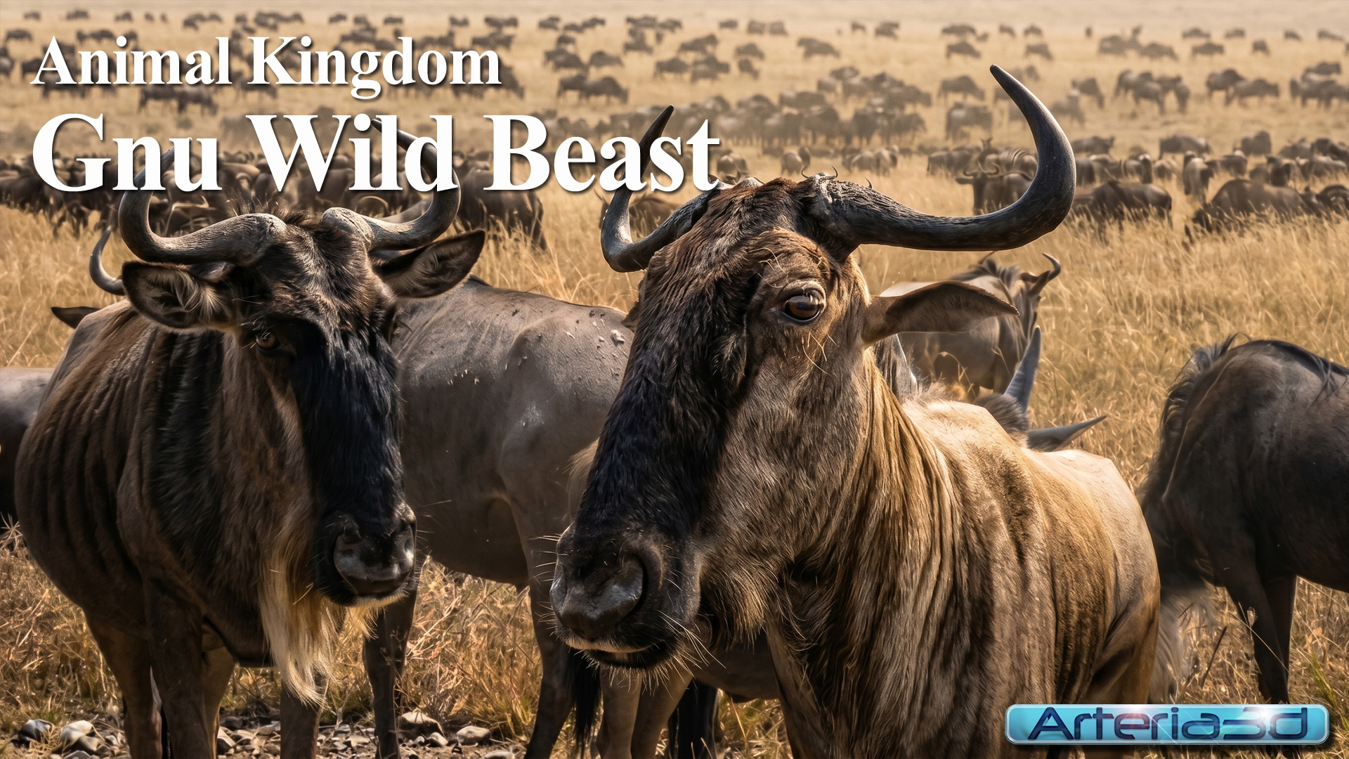 ANIMAL KINGDOM Gnu Wild Beast
