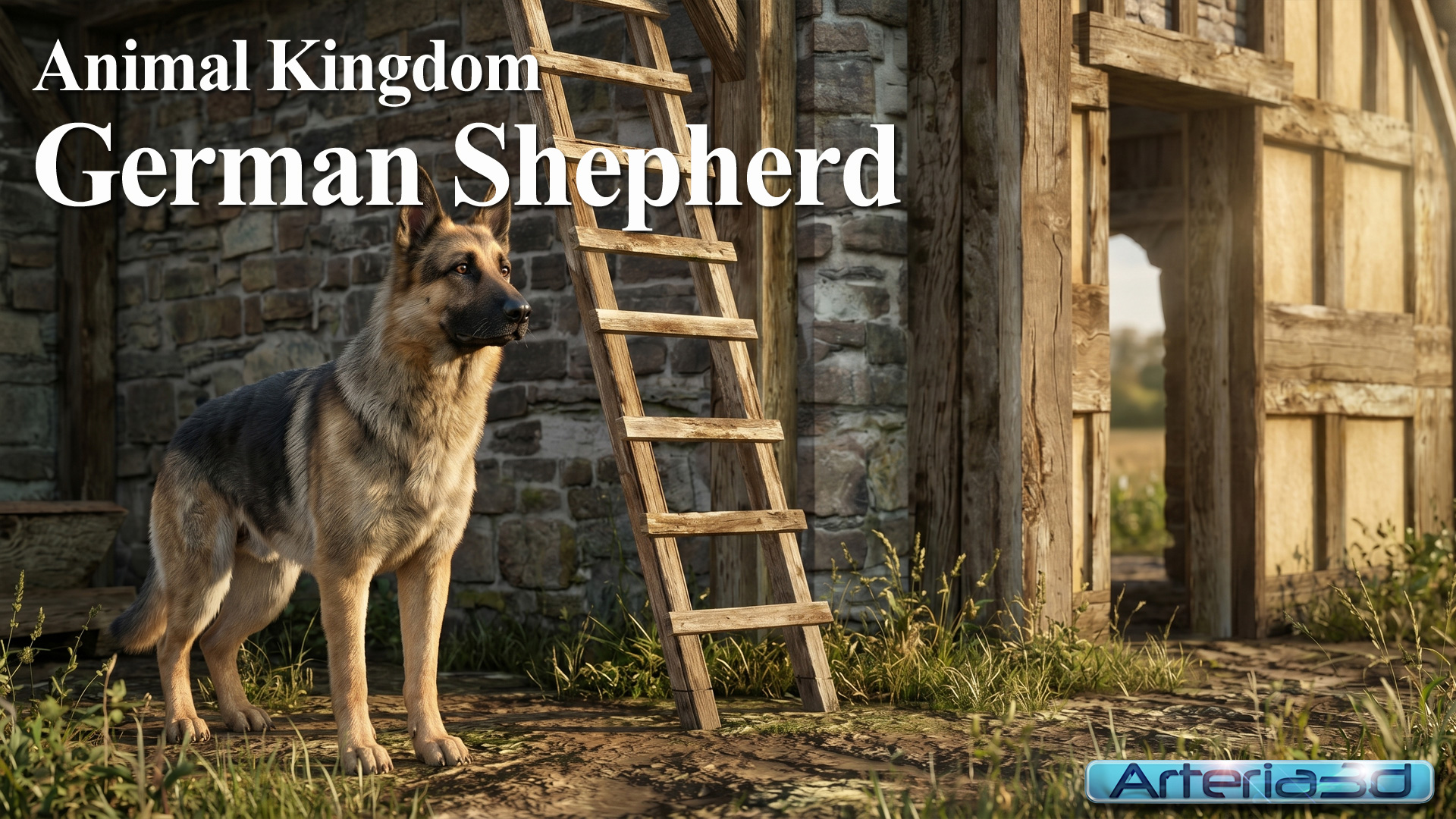 ANIMAL KINGDOM German Shepherd