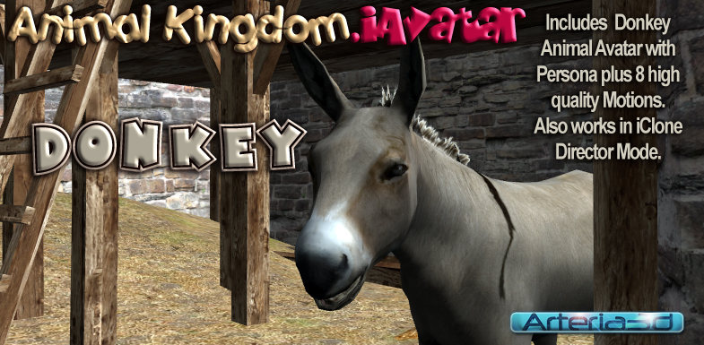 ANIMAL KINGDOM Donkey