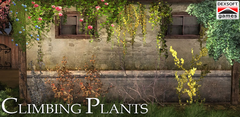 Climbing Plants