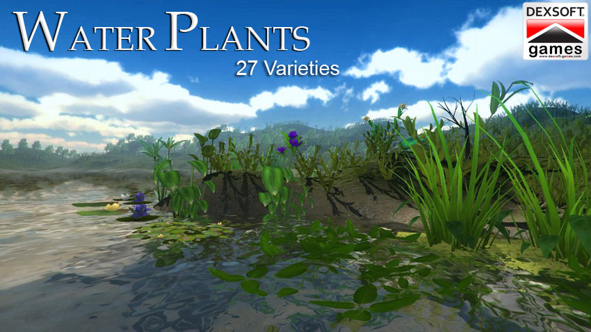 Water Plants