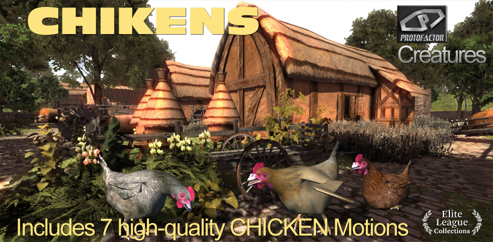 CHICKEN Bird