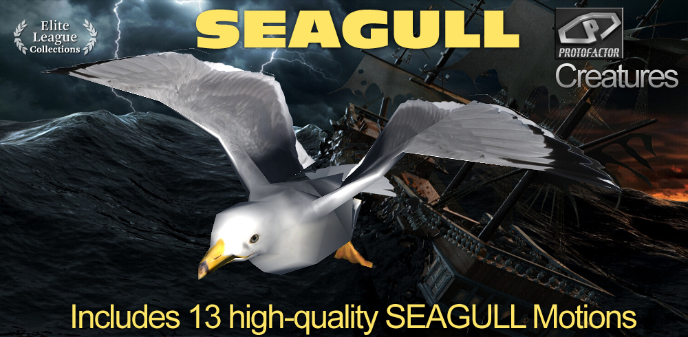 SEAGULL Bird