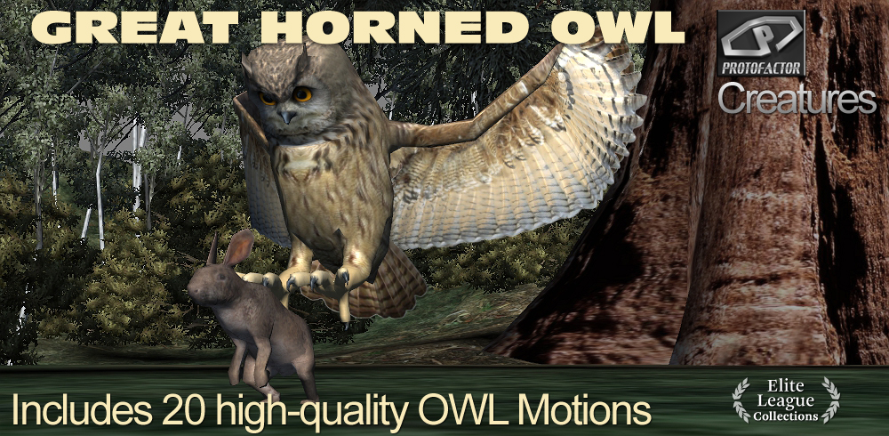 GREAT HORNED OWL Bird