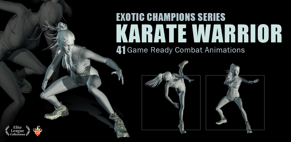 Karate Warrior Animation Pack