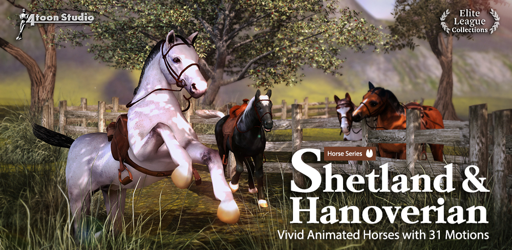 Horse Shetland & Hanoverian