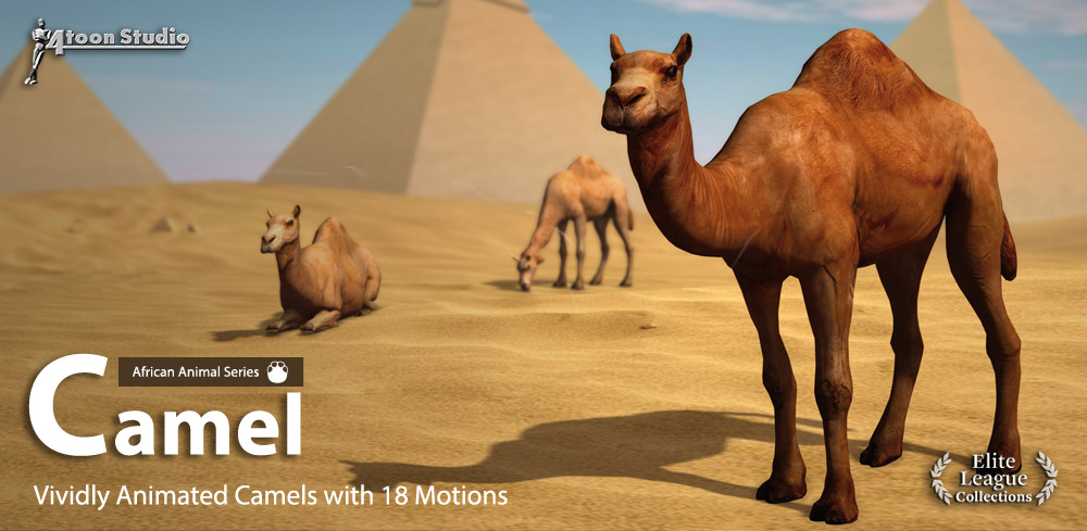 Camel