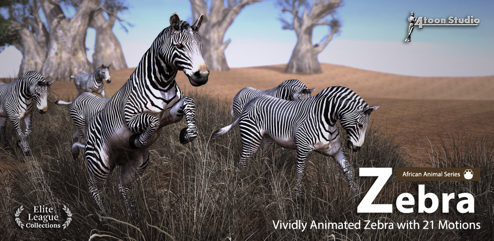 Zebra