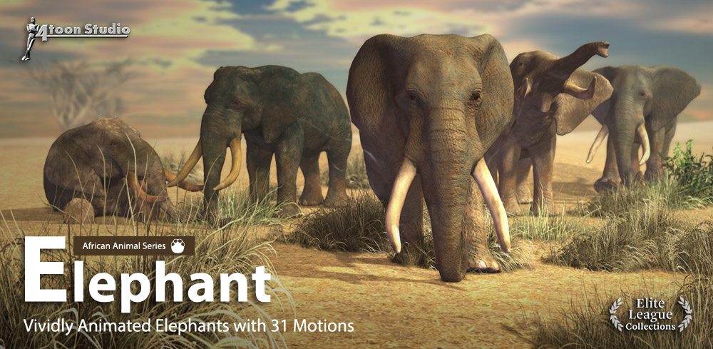 Elephant