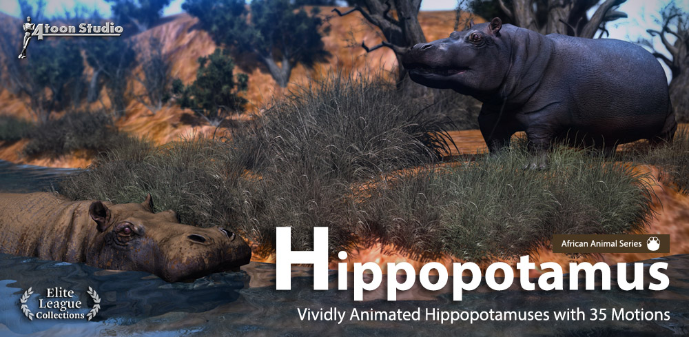 Hippopotamus