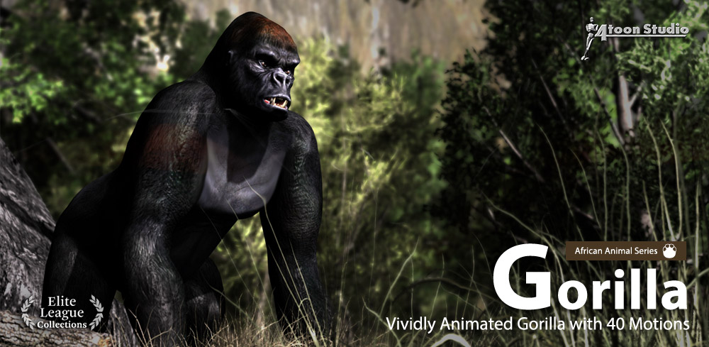 Gorilla