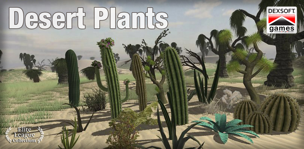 Desert Plants