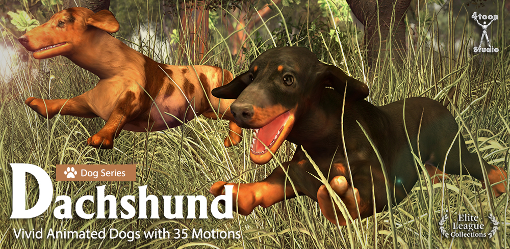 Dog Series-Dachshund
