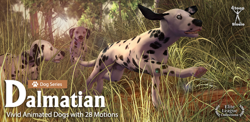 Dog Series-Dalmatian