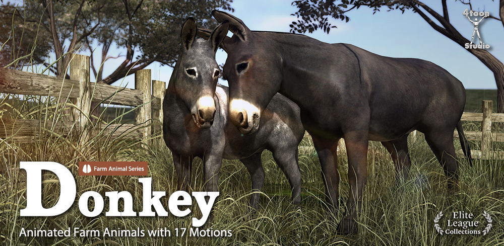 Farm Animal Series-Donkey