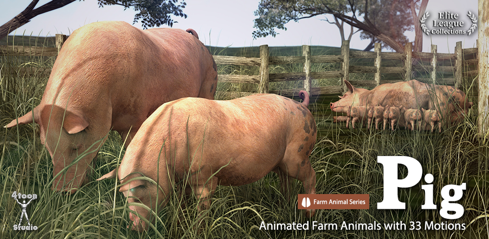 Farm Animal Series-Pig