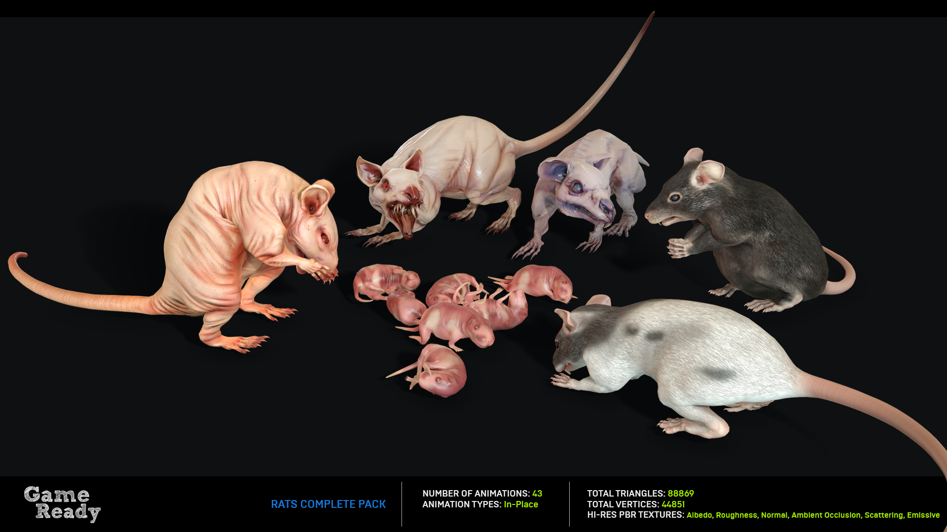 Rats Complete Pack