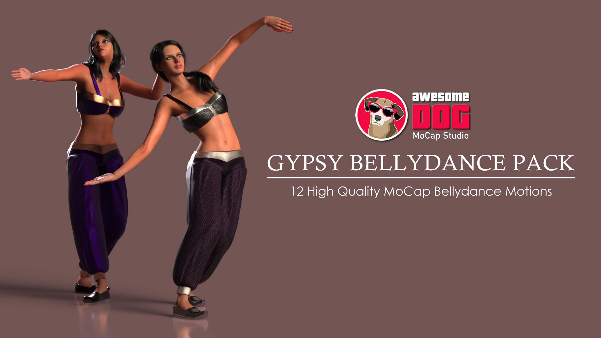 12 Gypsy Bellydance Motions