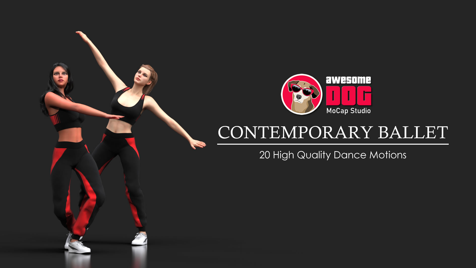 20 Contemporary Ballet Dances