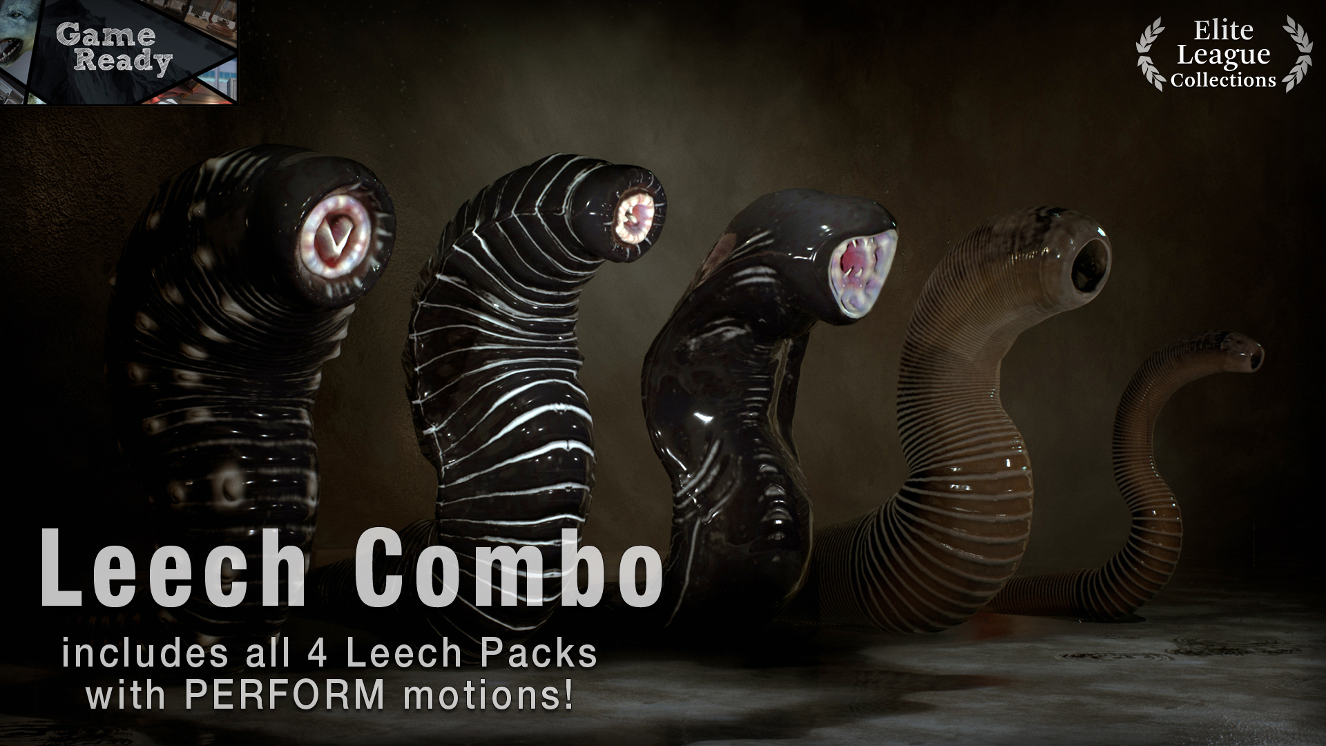 Leech Echelon