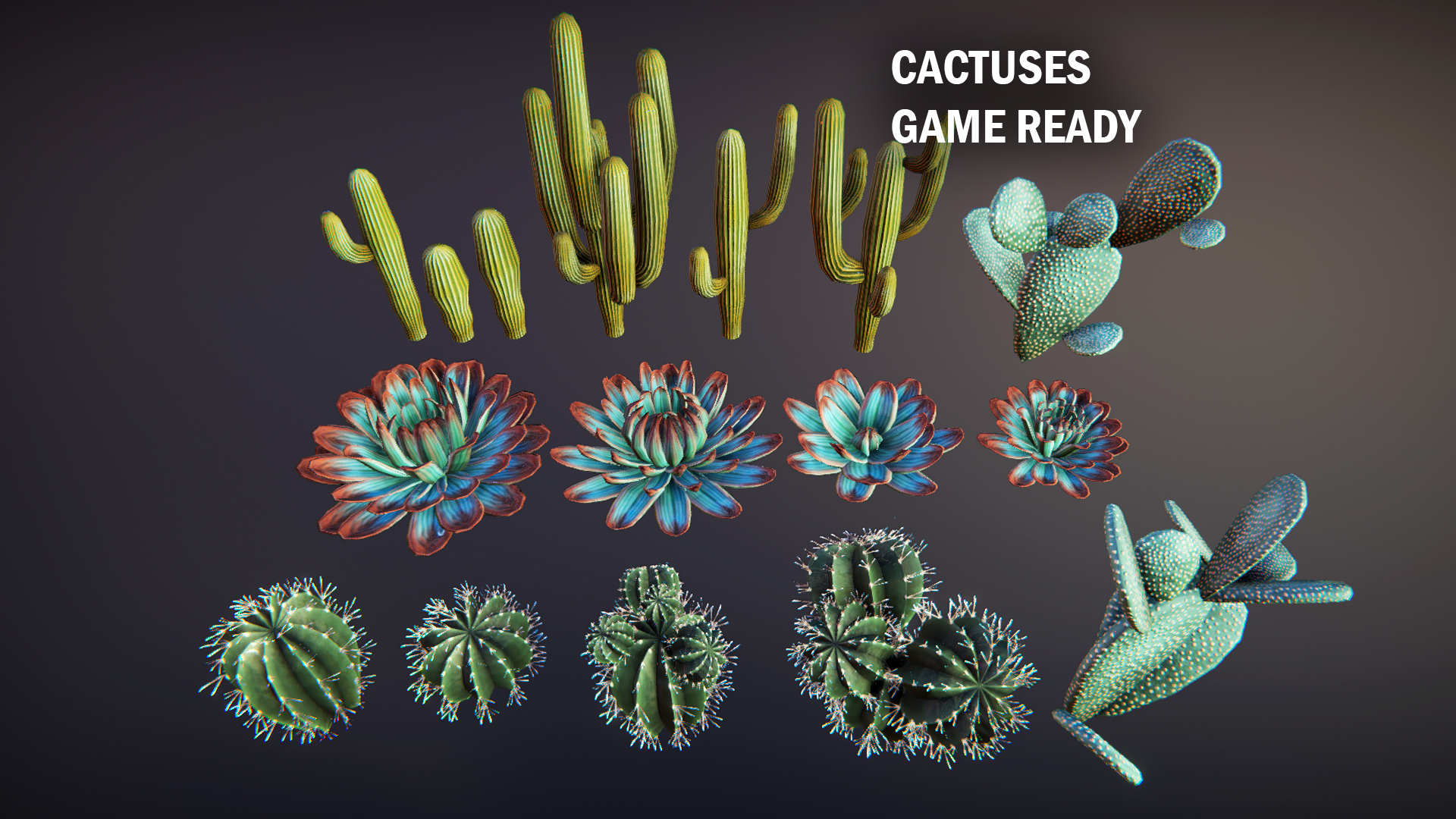 Cactuses