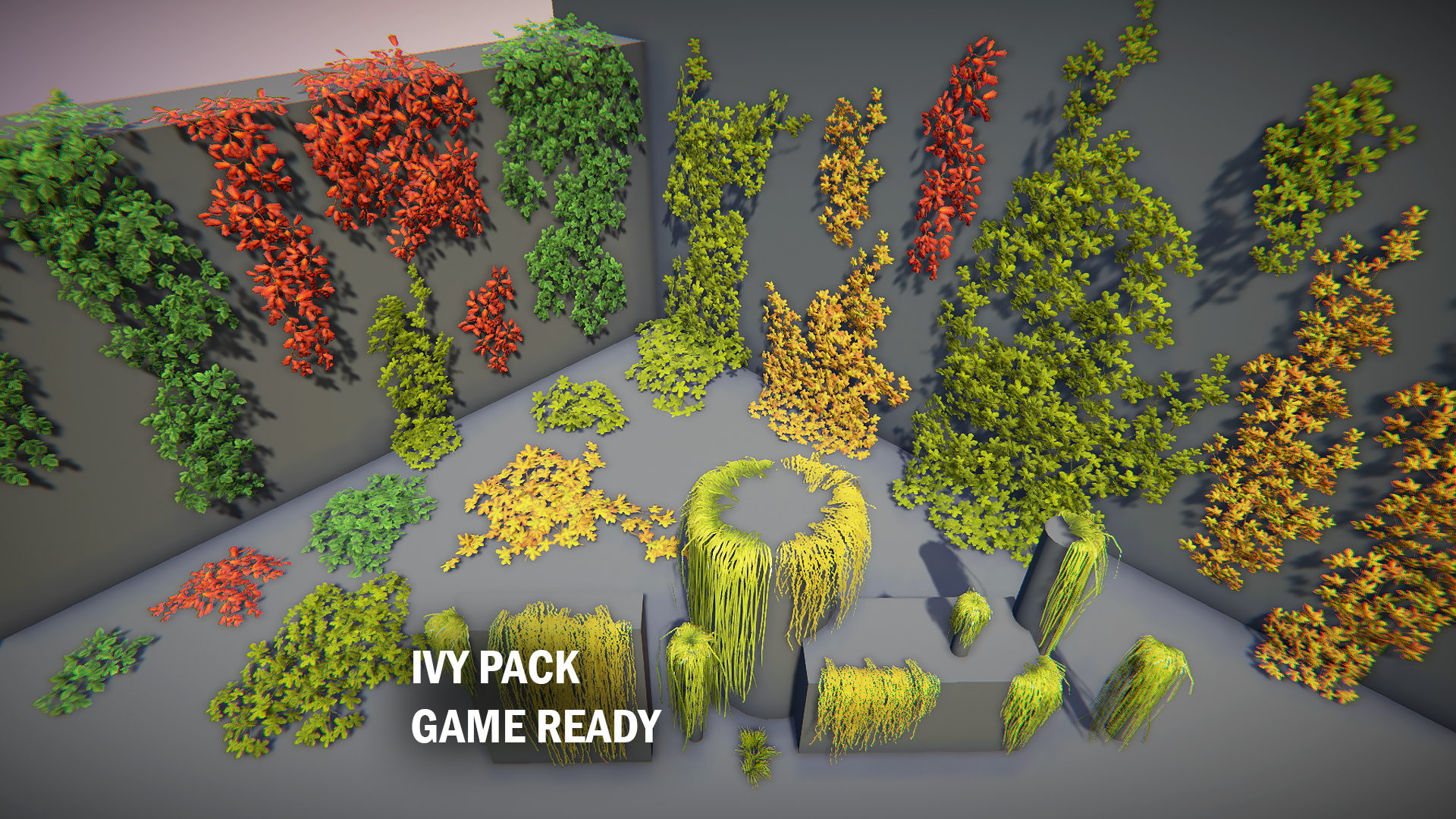 Ivy Pack 1