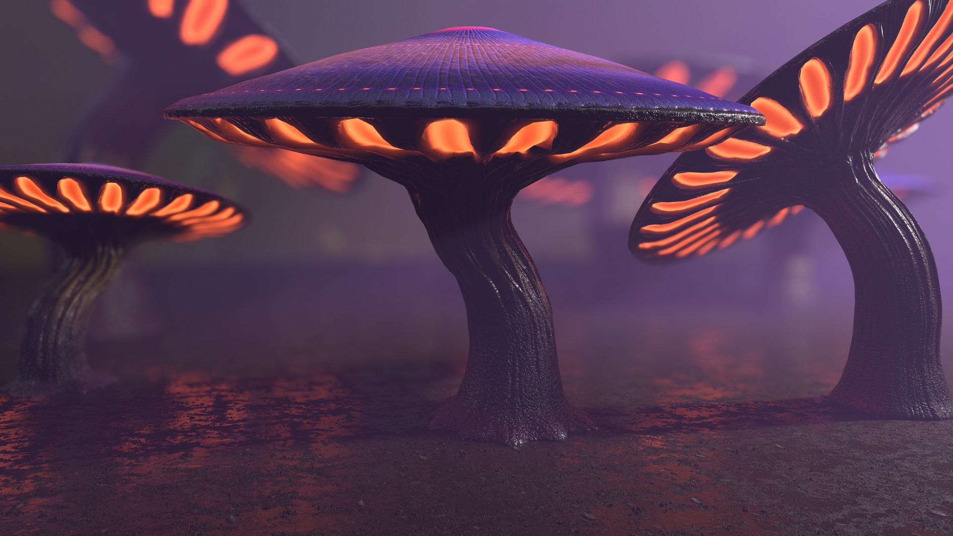 Fantasy Mushrooms Collection