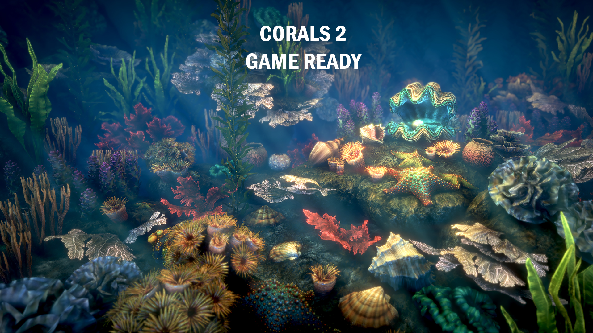 Corals 2