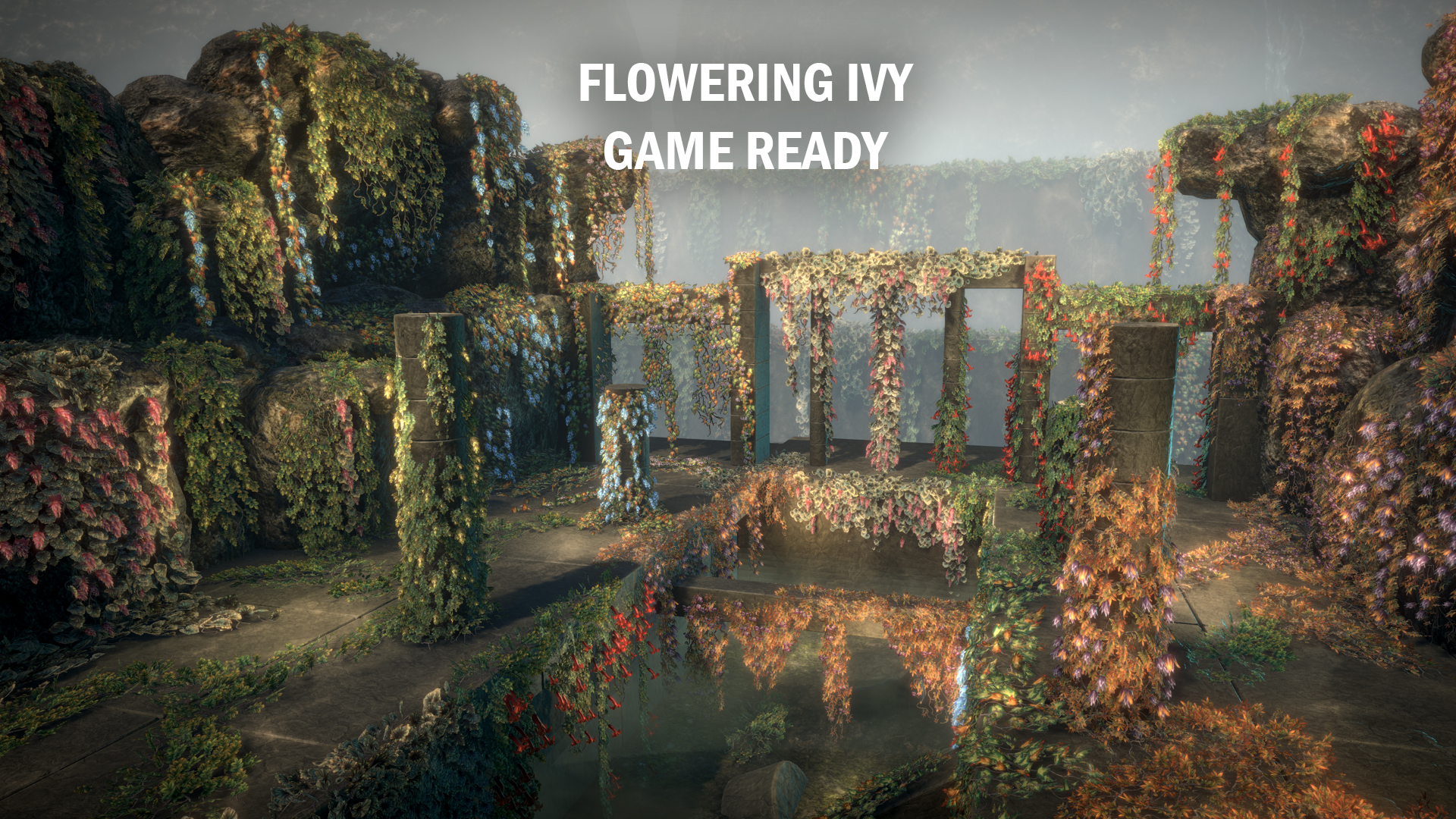 Flowering Ivy