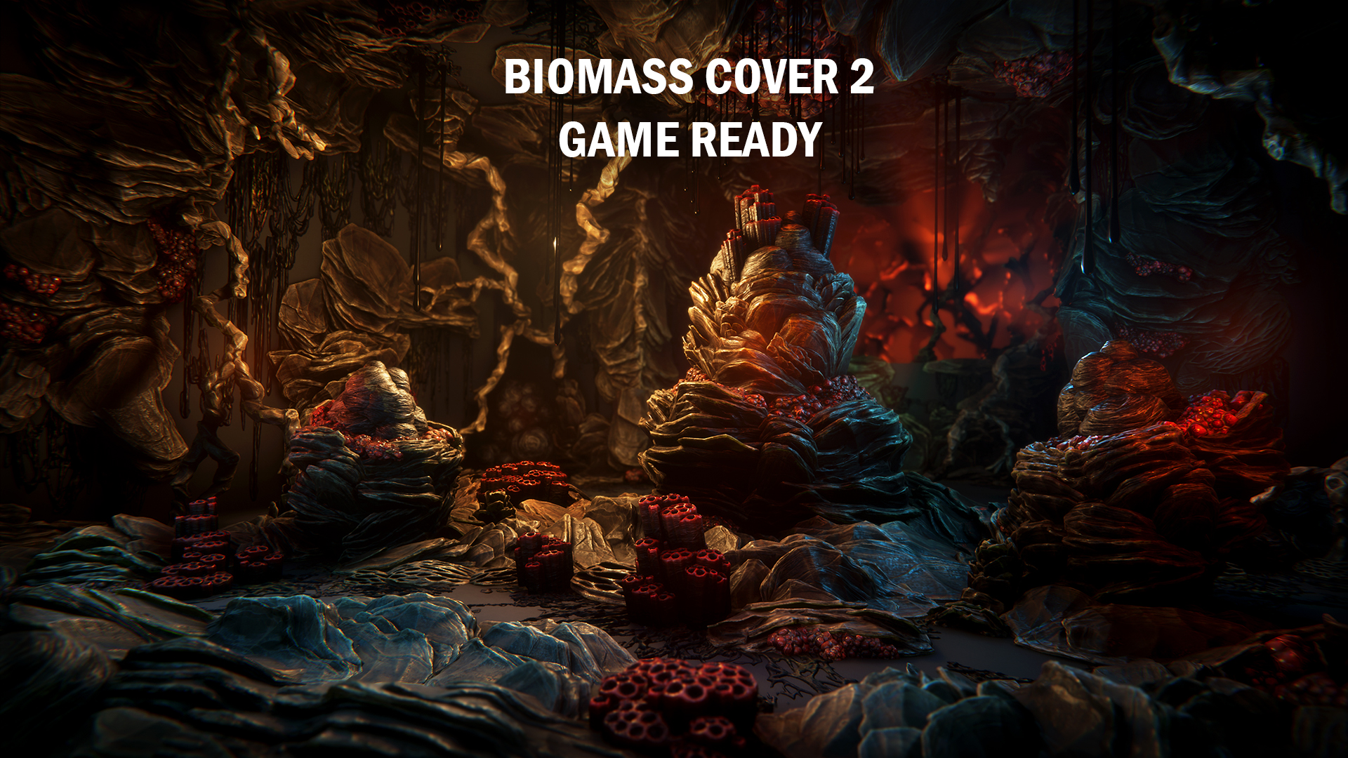 Biomass cover 2