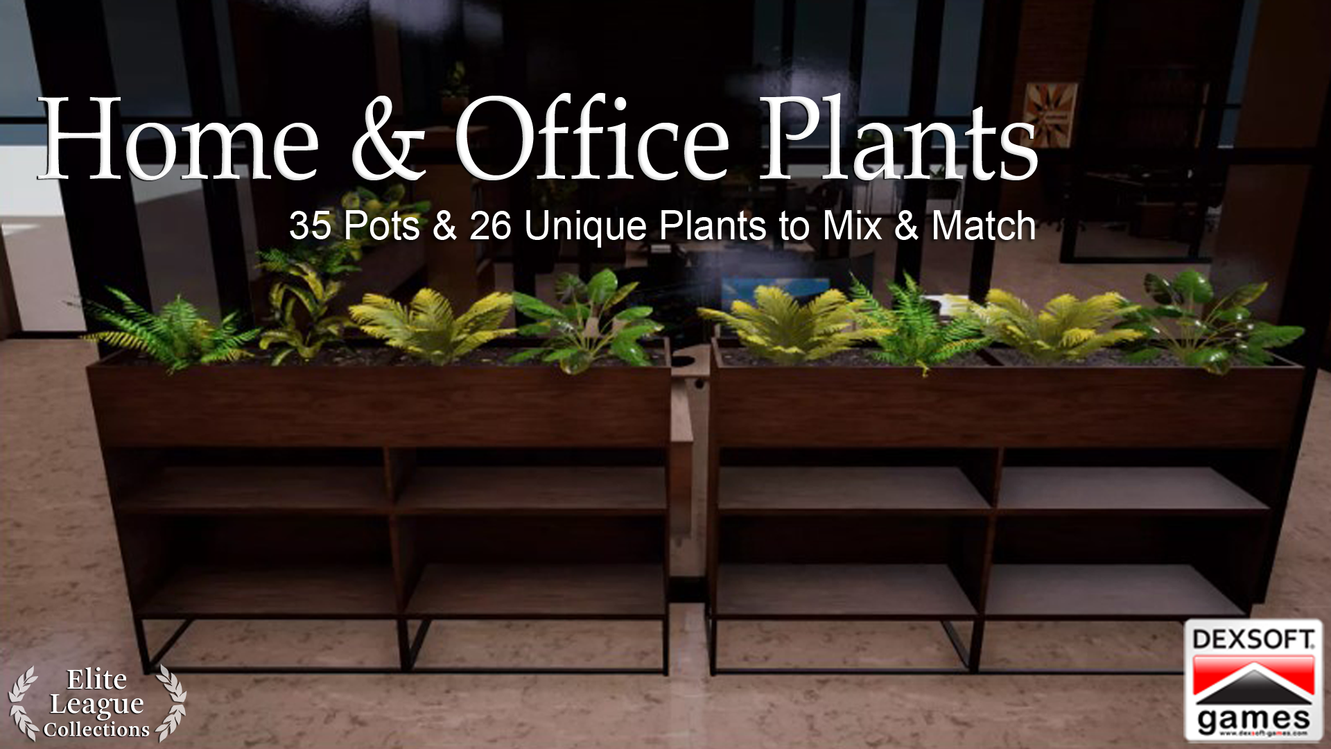 Home & Office Plants