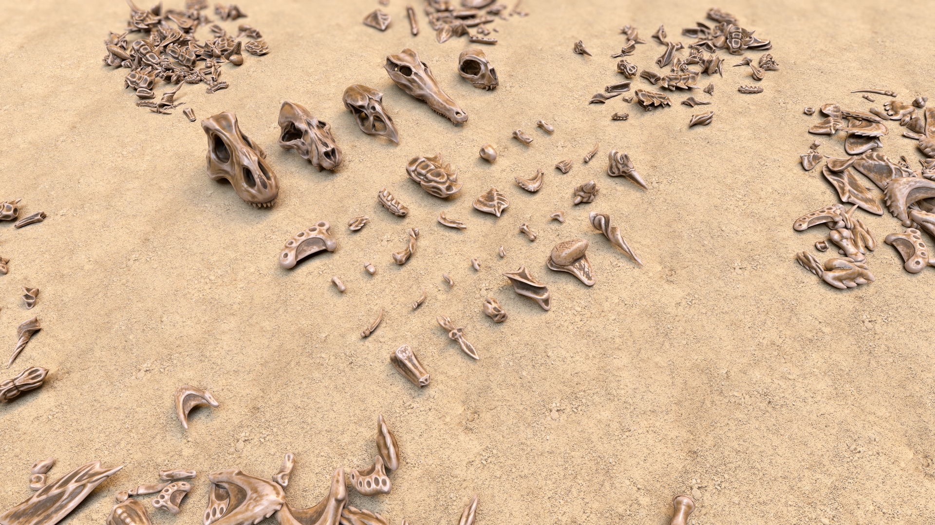 Fossil Bones and Eggs - Collection