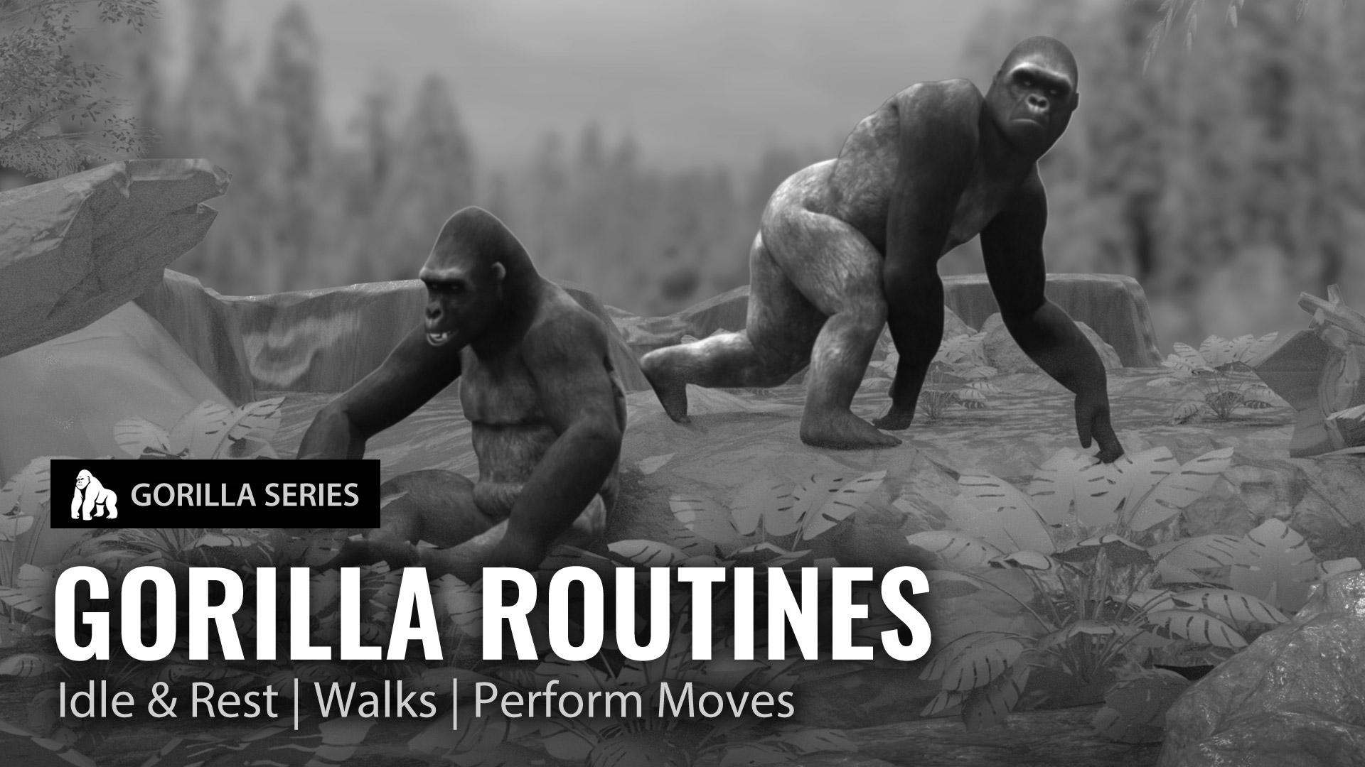 Gorilla Routines