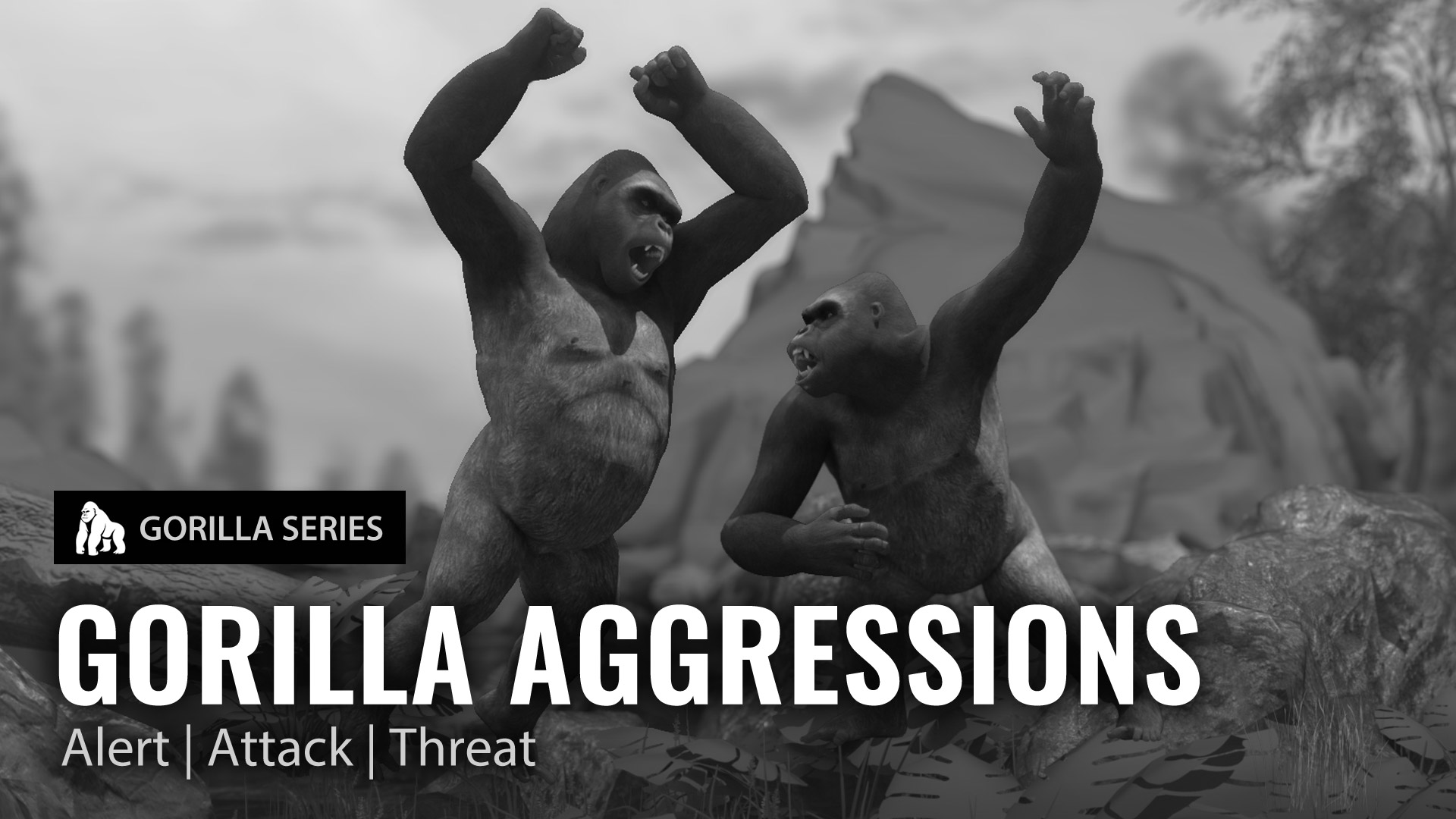 Gorilla Aggressions