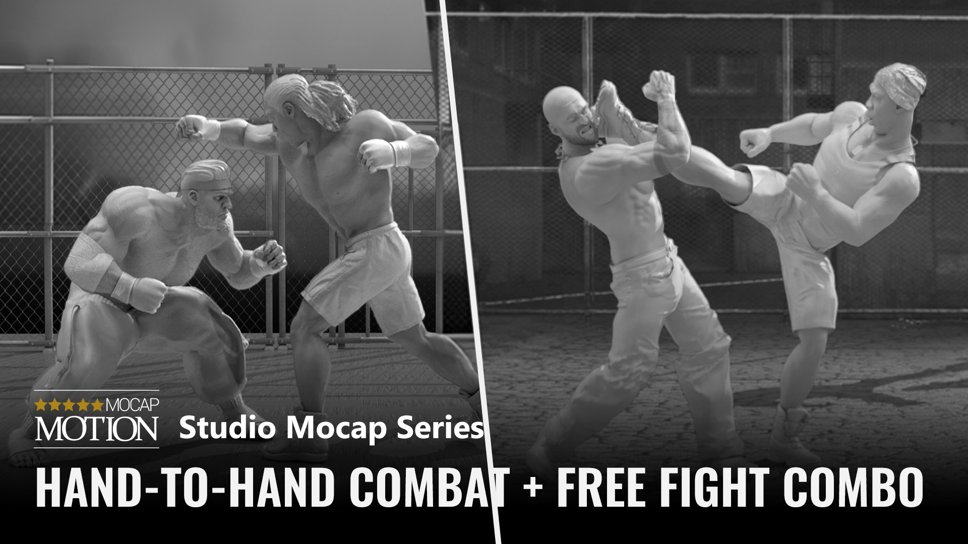 Hand-to-hand Combat + Free Fight
