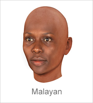 3D Avatar creator - Malayan