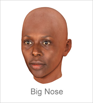 3D Avatar creator - Bid Nose