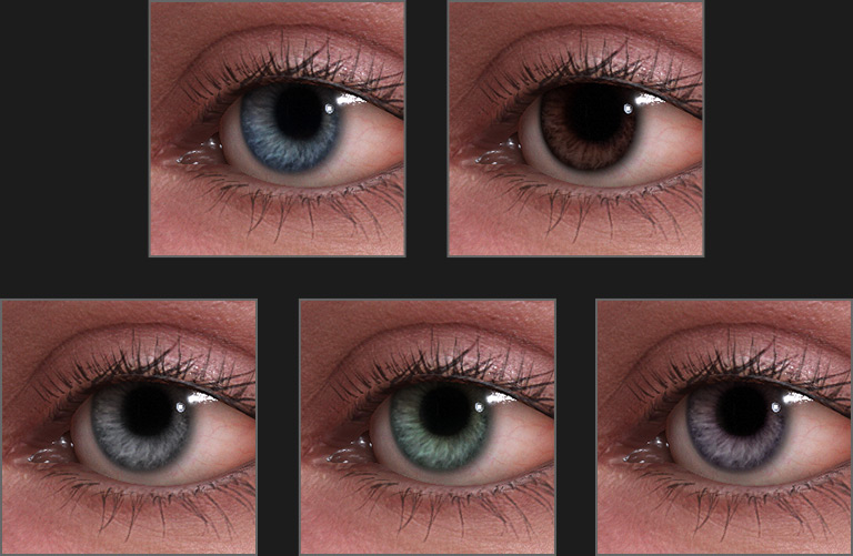 headshot - 3d face eye texture options