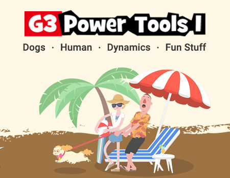 G3 Power Tools 1