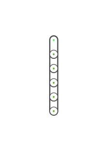create cartoon character spine bone