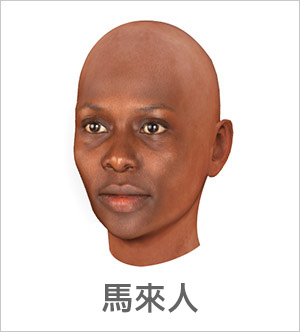 3D 臉部輪廓 - 馬來人